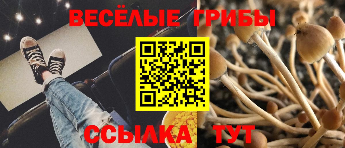 Галлюциногенные грибы прущие грибы  Вход с VPN  Малгобек  Галлюциногенные грибы MAGIC MUSHROOMS 