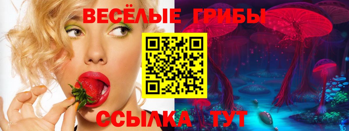 Галлюциногенные грибы Cubensis Малгобек